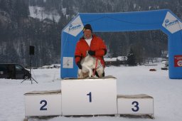 Lenk 2012 SM